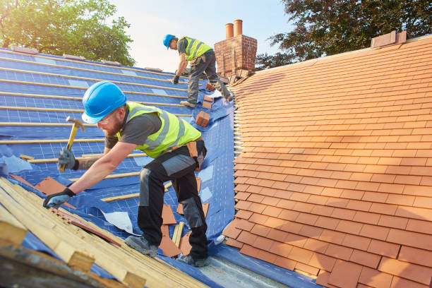 Best Skylight Installation and Repair  in Lakeview, GA